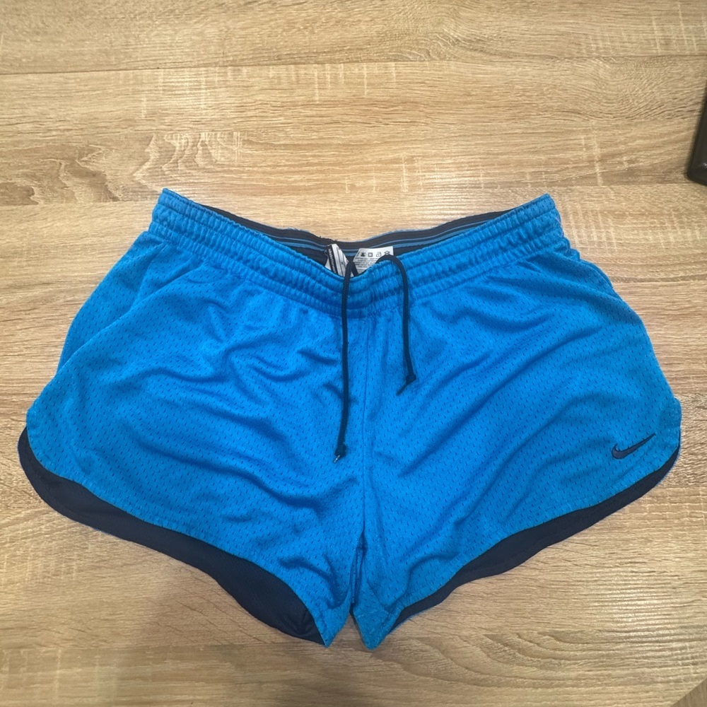 Nike Navy and Blue Mesh Shorts